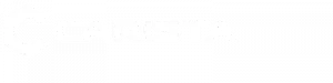 Carista white